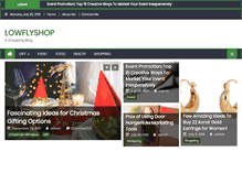 Tablet Screenshot of loweflyshop.com
